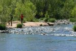 PICTURES/Red Rock Crossing - Crescent Moon Picnic Area/t_Oak Creek Stepping Stones2.JPG